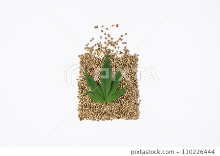 Creative CBD hemp leaf and hemp seeds for design. Cannabis herbal alternative medicine concept. 110226444