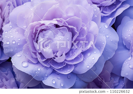 AI-generated content. Macro photo of of beautiful lilac peony flower, close up AI-generated content. Macro photo of of beautiful lilac peony flower, close up 110226632