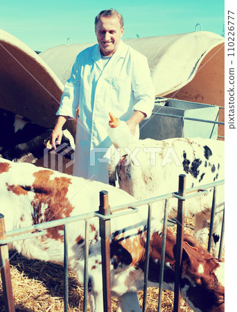 Veterinarian is feeding newborn calf in barn 110226777