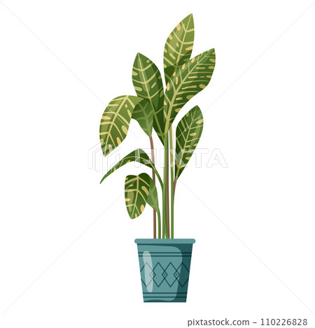Houseplant plant growing in pots. Beautiful home decorations, plants isolated on white background. Cartoon flat illustration. Houseplant plant growing in pots. Beautiful home decorations, plants isolated on white background. Cartoon flat illustration. 110226828