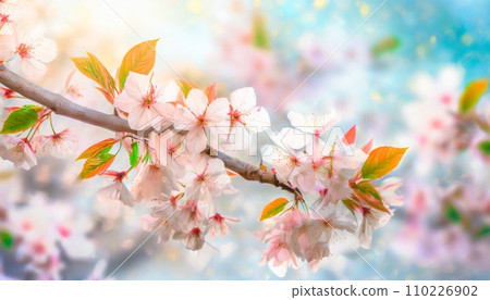 櫻花盛開,櫻花花瓣飄落,絢麗多彩 櫻花盛開,櫻花花瓣飄落,絢麗多彩 110226902