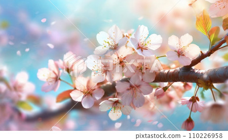 櫻花盛開，櫻花花瓣飄落，絢麗多彩 110226958