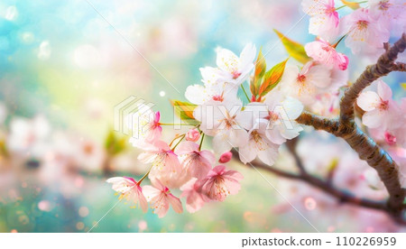 櫻花盛開，櫻花花瓣飄落，絢麗多彩 110226959