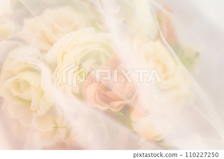 玫瑰/花束背景材料 110227250