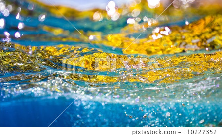 Underwater photography Underwater with beautiful sparkling light Underwater photography Underwater with beautiful sparkling light 110227352