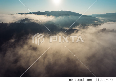 Morning fog in the forest before spring 110227978