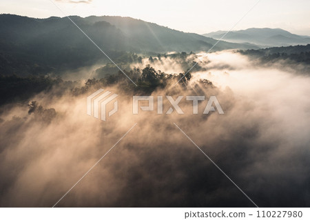 Morning fog in the forest before spring 110227980