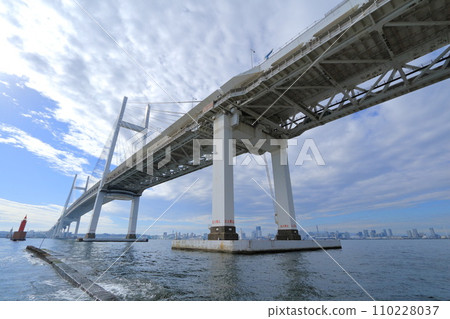Yokohama Bay Bridge seen from Daikoku Pier in Yokohama, Kanagawa Prefecture 110228037