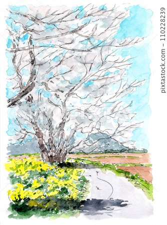 Cherry at the end of the road 110228239