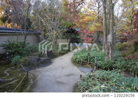 Hyogo Himeji Kokoen Natsuki garden and autumn leaves 110229156