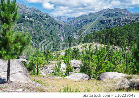 Landscapes of Peneda Geres National Park, North Portugal, view of the mountains, trees, selective focus Landscapes of Peneda Geres National Park, North Portugal, view of the mountains, trees, selective focus 110229542