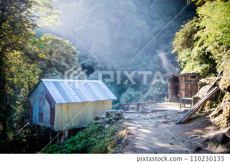 Sun rays in forest on Annapurna trekking circuit, Himalaya, Nepa 110230135