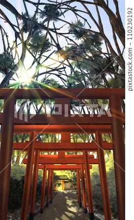 鳥居和枯樹 110230192