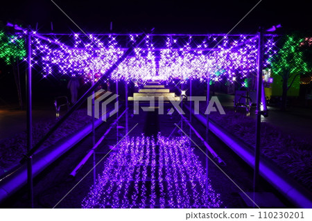 寺池公園聖誕彩燈 寺池公園聖誕彩燈 110230201