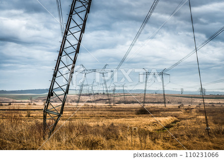 landscape of field with power lines 110231066