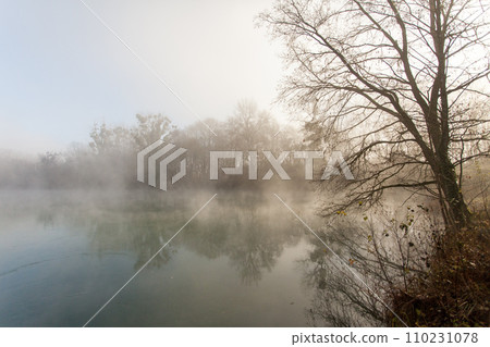 fog over the lake, cold morning, late autumn in park 110231078