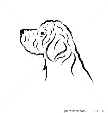 Vector of goldendoodle dog design on white background. Animals. Pet. Easy editable layered vector illustration. 110231180