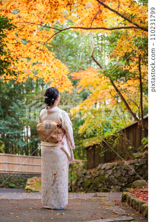 Woman wearing a kimono Autumn leaves Yellow leaves Autumn concept 110231799