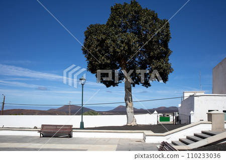 Square with a tree, Yaiza, Lanzarote, Spain Square with a tree, Yaiza, Lanzarote, Spain 110233036