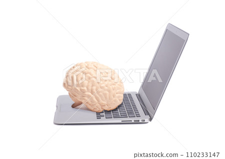 Human brain anatomical model on laptop 110233147