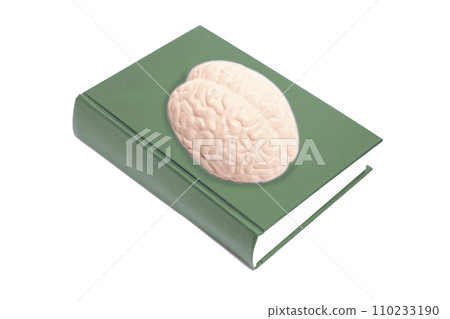 notebook with human brain anatomical model isolated on white background notebook with human brain anatomical model isolated on white background 110233190
