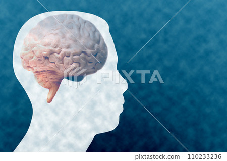 Medical acupuncture model of human with brain anatomical model Medical acupuncture model of human with brain anatomical model 110233236