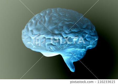 Human brain anatomical model on black background Human brain anatomical model on black background 110233615
