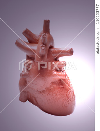 Human heart model ,concept of cardiology, health care, human organ transplant Human heart model ,concept of cardiology, health care, human organ transplant 110233777