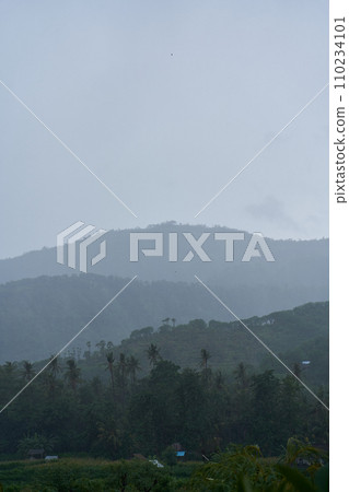 A tropical rainstorm in a rice field with cascading mountains and palm trees. A tropical rainstorm in a rice field with cascading mountains and palm trees. 110234101