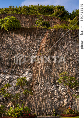 The background is a cut of a stone mountain with growths. The texture of the cliff. The background is a cut of a stone mountain with growths. The texture of the cliff. 110234315