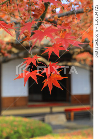 Shofuen in autumn 110234725