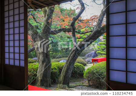 秋天的松風園 秋天的松風園 110234745