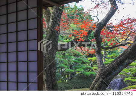 秋天的松風園 秋天的松風園 110234746