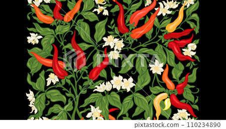 Hot chilly pepper plant with fruits and flowers. 110234890