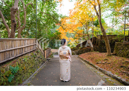 Woman wearing a kimono Autumn leaves Yellow leaves Autumn concept 110234903