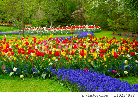 fresh lawn with flowers fresh lawn with flowers 110234958