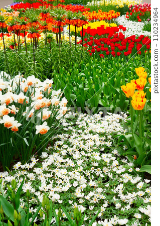fresh lawn with flowers 110234964