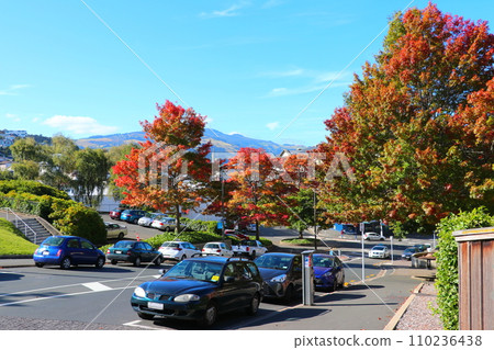 Red autumn leaves, which are rare in New Zealand, and a sloped road Red autumn leaves, which are rare in New Zealand, and a sloped road 110236438