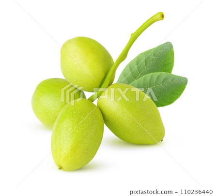 Raw walnuts on a stem with leaves, isolated on white background 110236440