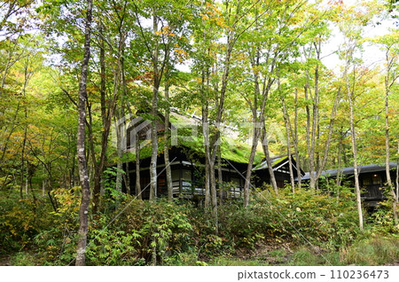 Hidden hot spring Tsurunoyu Onsen Annex mountain accommodation 110236473