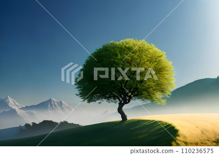 A single tree on a hill, clear skies 3 A single tree on a hill, clear skies 3 110236575