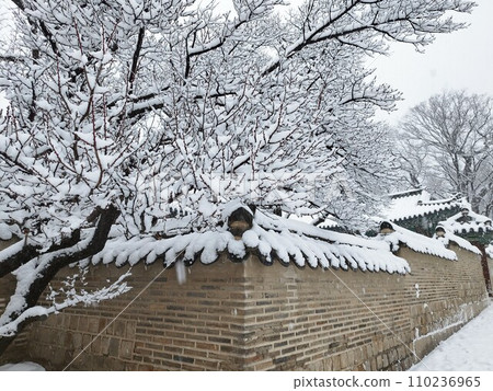 昌德宮的土牆(韓國首爾) 昌德宮的土牆(韓國首爾) 110236965