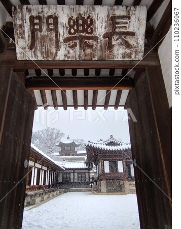 昌德宮長樂門（韓國首爾） 110236967