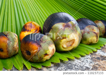 Toddy palm fruit or palmyra palm Toddy palm fruit or palmyra palm 110237133