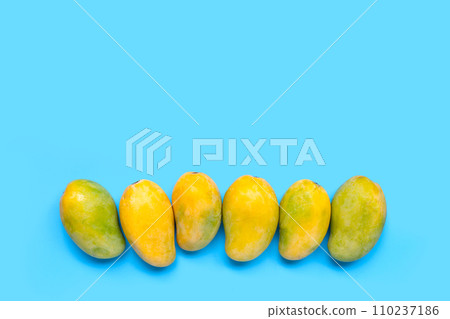 Tropical fruit, Mango on blue background. Tropical fruit, Mango on blue background. 110237186