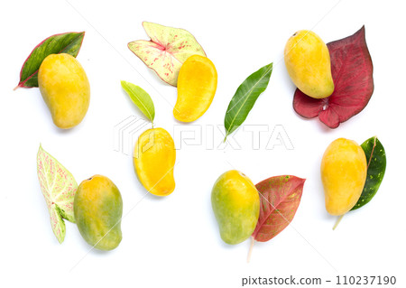 Tropical fruit, Mango with colorful leaves on white background. Tropical fruit, Mango with colorful leaves on white background. 110237190