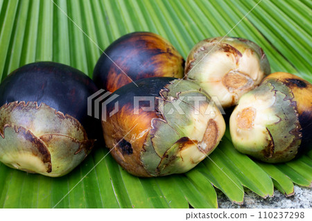 Toddy palm fruit or palmyra palm Toddy palm fruit or palmyra palm 110237298