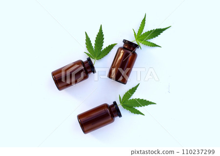Green leaves of cannabis plant. Medical marijuana. 110237299