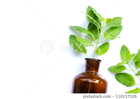 Holy basil leaves in bottle on white background. Holy basil leaves in bottle on white background. 110237326