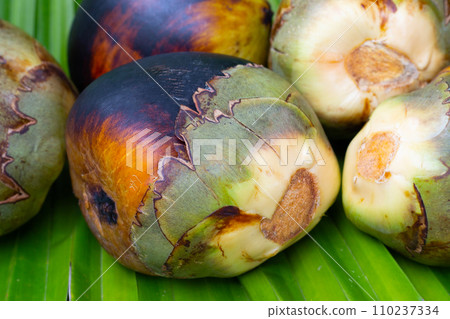 Toddy palm fruit or palmyra palm Toddy palm fruit or palmyra palm 110237334